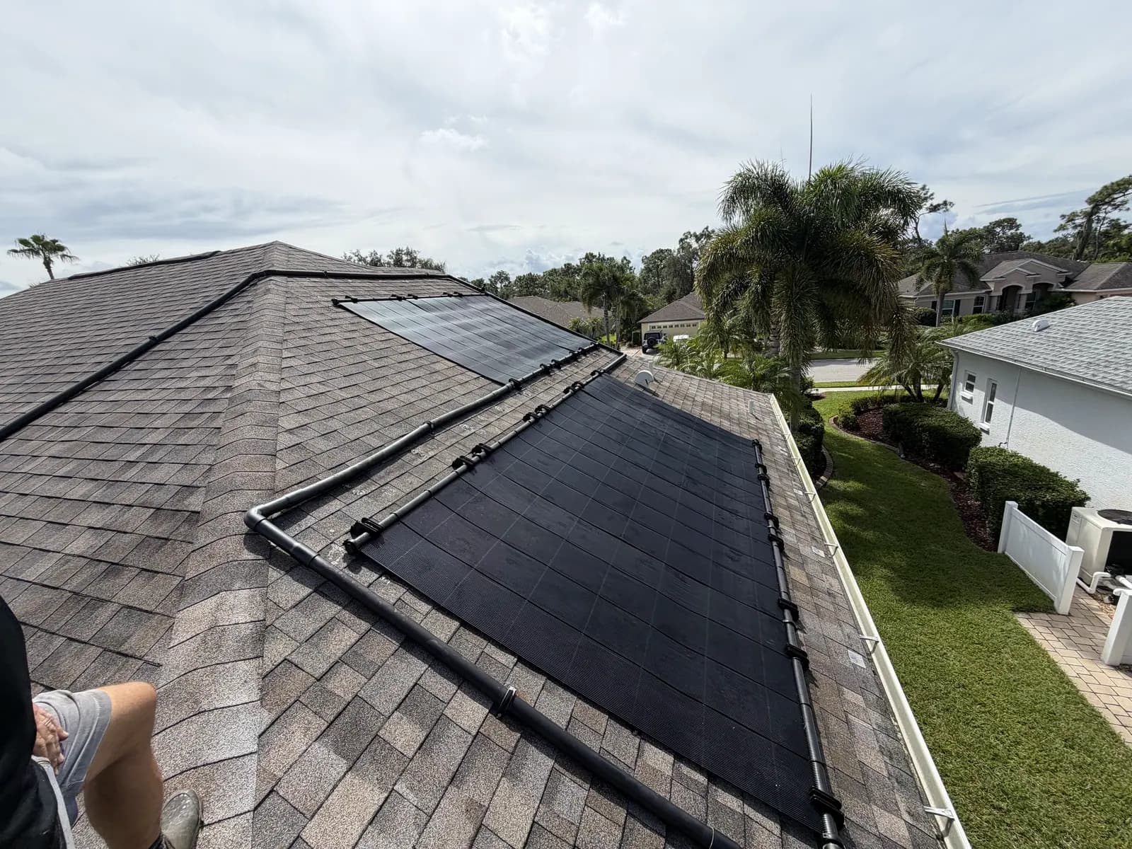 Two solar pool heating arrays on a brown shingle roof with dark plumbing, palm trees beyond